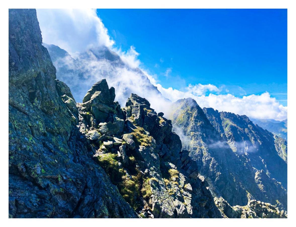 Willa Danielka Zakopane Exteriér fotografie
