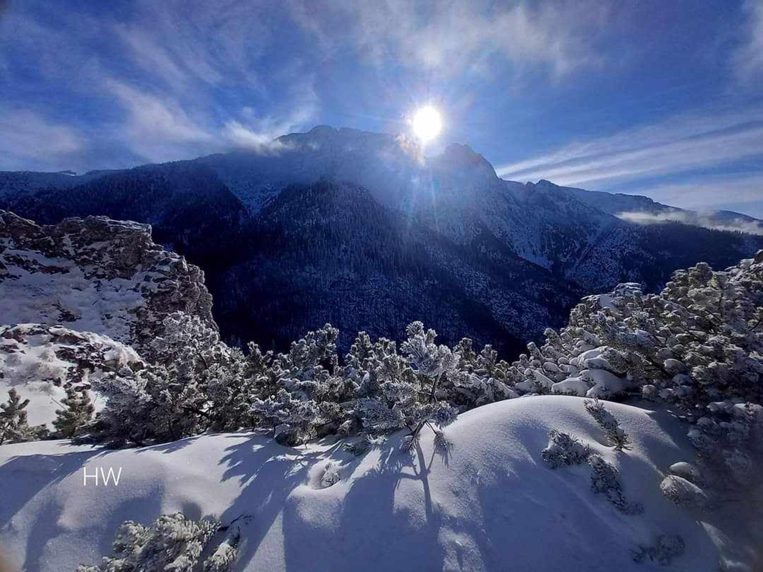 Willa Danielka Zakopane Exteriér fotografie